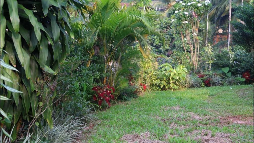 Suisse Villa Kandy Dış mekan fotoğraf