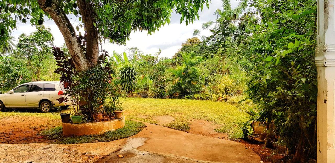 Suisse Villa Kandy Dış mekan fotoğraf