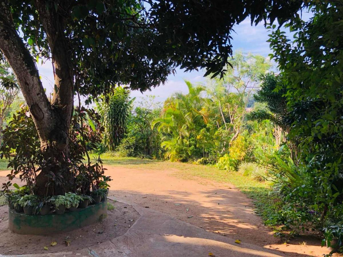 Suisse Villa Kandy Dış mekan fotoğraf
